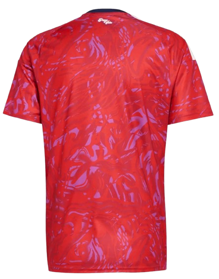 COSTA RICA HOME SOCCER FAN JERSEY 2026