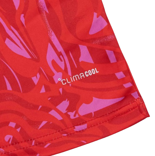 COSTA RICA HOME SOCCER FAN JERSEY 2026