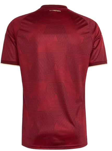 VENEZUELA HOME SOCCER FAN JERSEY 2026
