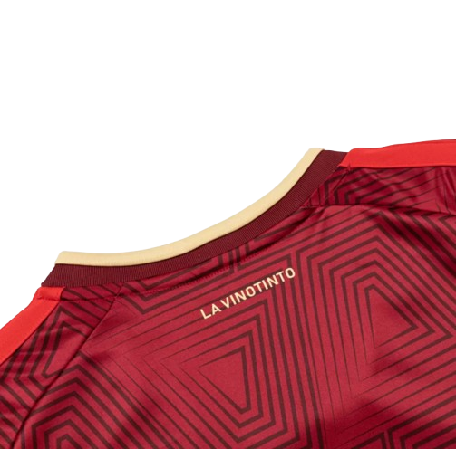 VENEZUELA HOME SOCCER FAN JERSEY 2026