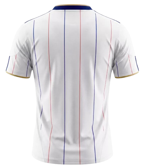 RETRO 2010 FRANCE AWAY SOCCER JERSEY